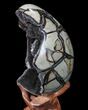 Septarian Dragon Egg Geode - Black Crystals #88161-3